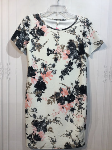 Pink Blush Size S/4-6 White Dress